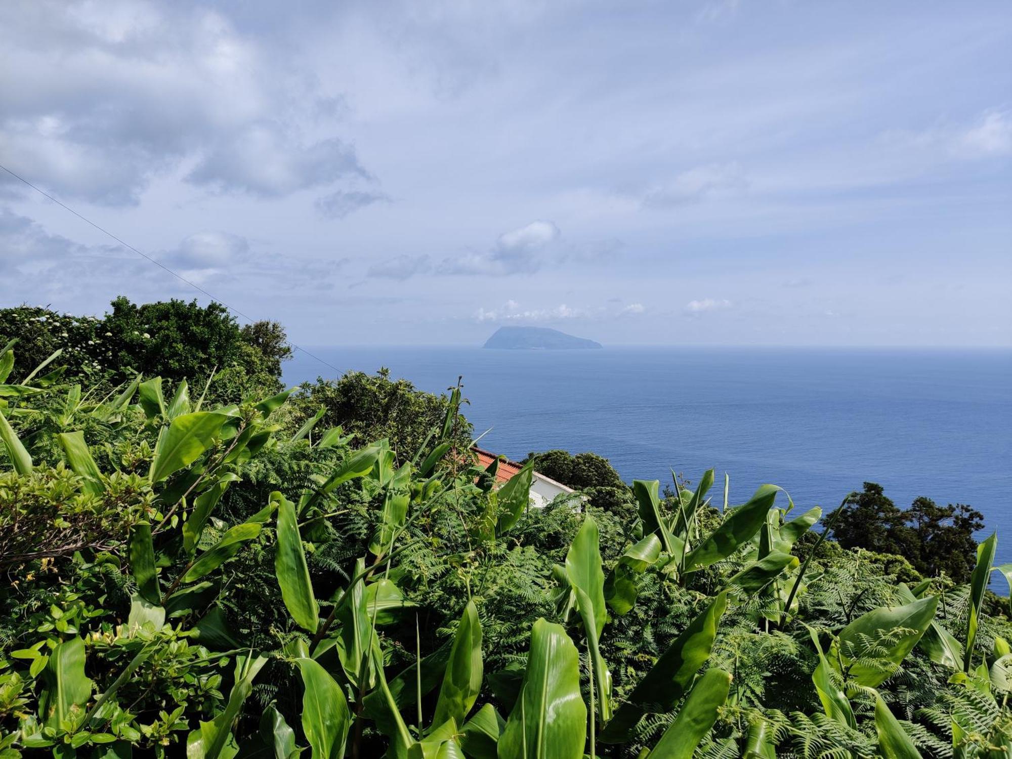 Villa Ocean View Cedros Santa Cruz das Flores Exterior foto